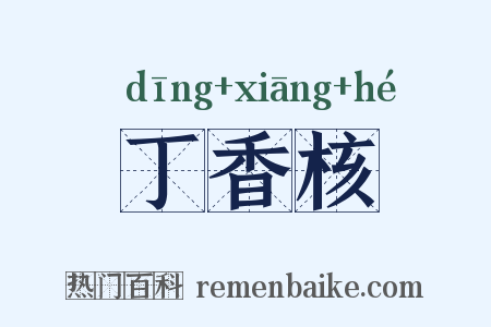 丁香核是什么意思的图片